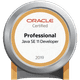ORACLE CERTIFIED PROFESSIONAL JAVA SE 11 DEVELOPER (OCP JAVA11)